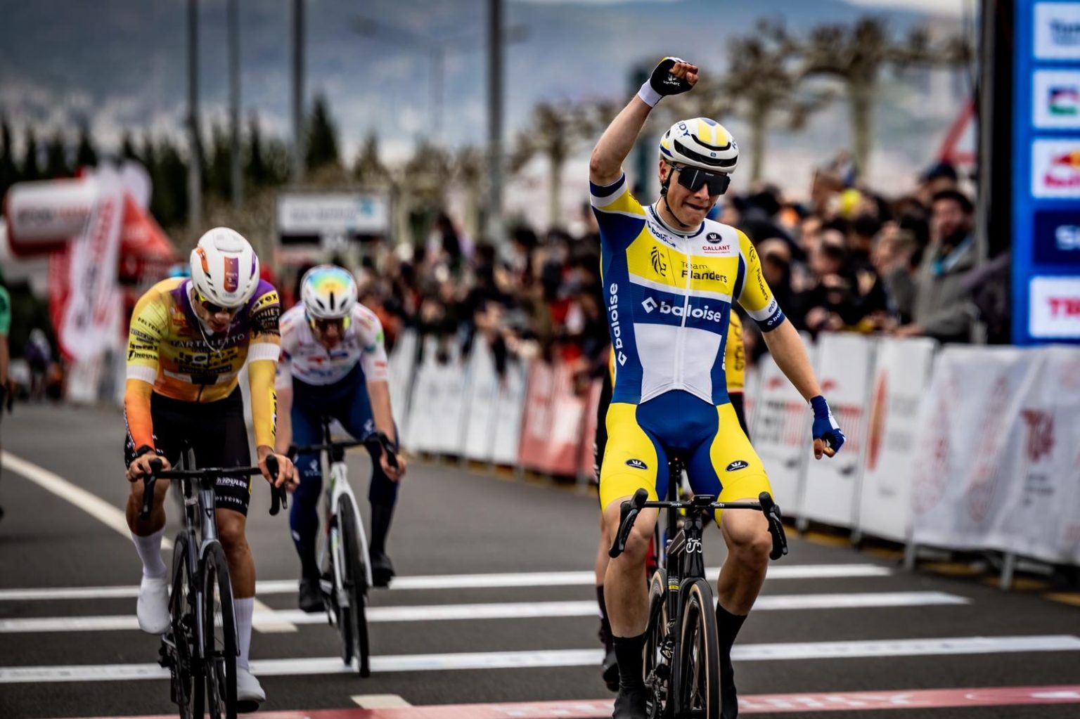 ankara tom crabbe