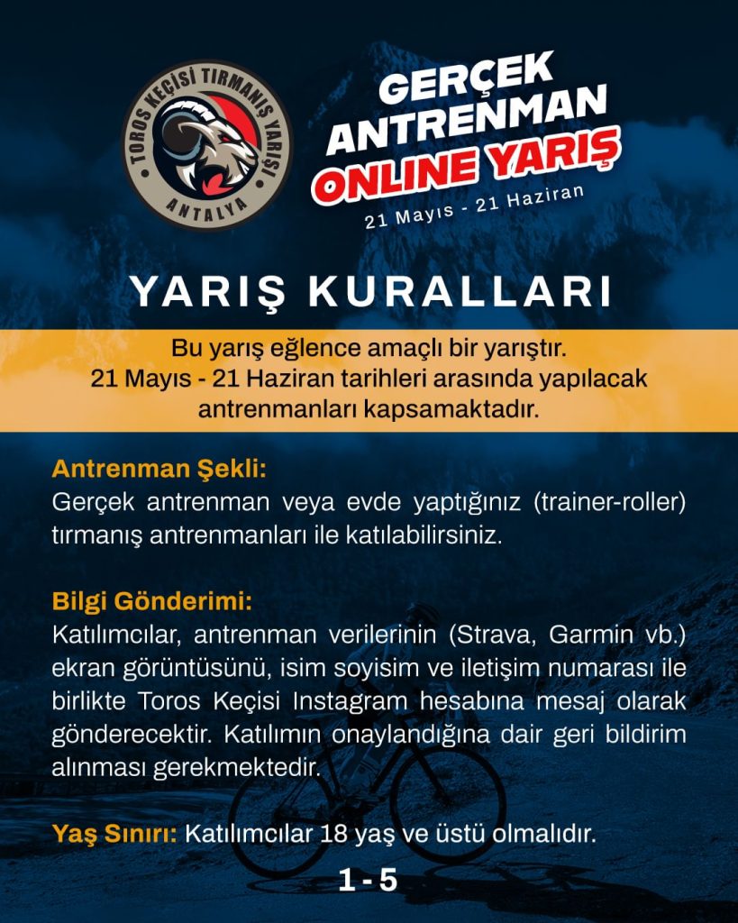 toros keçisi yarış